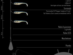 Terminali da pesca &raquo; Dropshot